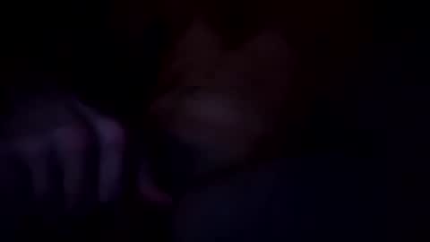 deknaux online show from October 16, 11:00 am