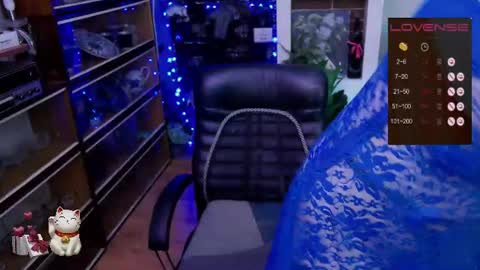Delicacat online show from June 26, 10:08 am