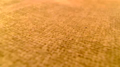 Snapshot of deliciaalove chatting on December 17, 7:37 pm deliciaalove online show from December 17, 7:37 pm