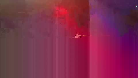 den2807 online show from May 3, 10:49 pm