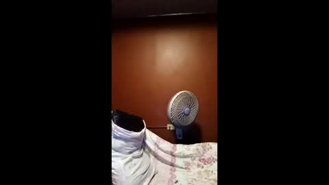 devensingh online show from March 20, 5:34 am