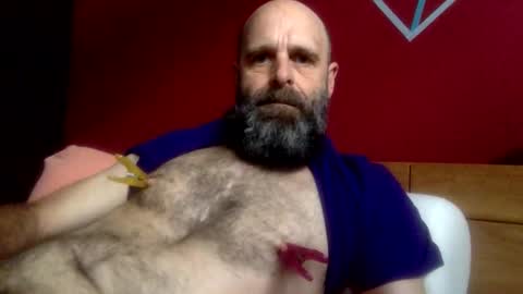 ooo  Devil Dark  ooo online show from October 17, 8:17 am