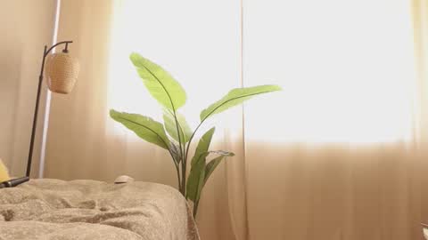 ...Ill be back ... online show from March 12, 7:25 am