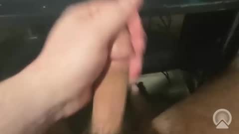 Snapshot of devin255395 chatting on December 3, 7:45 pm devin255395 online show from December 3, 7:45 pm