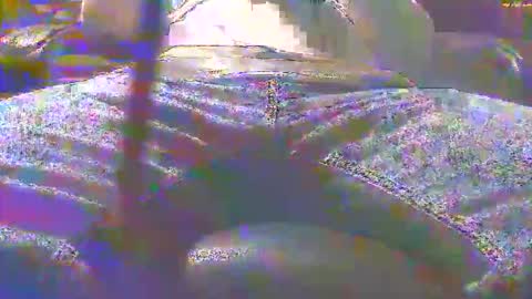 dfwgonewrong online show from November 3, 4:47 am