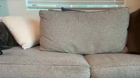 Snapshot of dgafsd chatting on December 15, 3:27 pm dgafsd online show from December 15, 3:27 pm