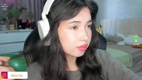 Snapshot of diara_lan chatting on November 27, 3:19 am Diara online show from November 27, 3:19 am