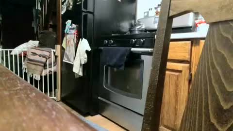 dickwack4u online show from September 13, 1:27 am