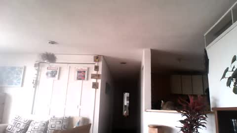 diego_incubo_ii online show from July 15, 4:34 pm