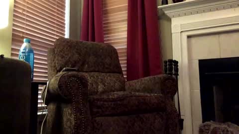 Snapshot of diegodavids chatting on January 31, 3:55 pm diegodavids online show from January 31, 3:55 pm