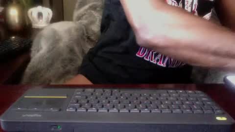 The Digital Pimp.... online show from June 27, 12:22 pm
