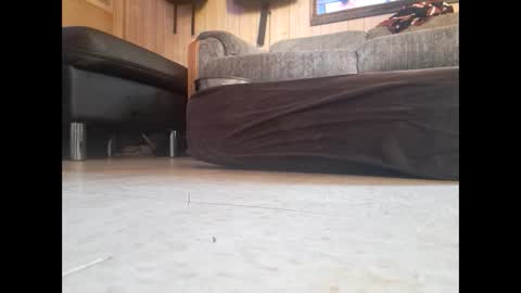 Snapshot of dildosnme22 chatting on February 19, 7:48 pm dildosnme22 online show from February 19, 7:48 pm