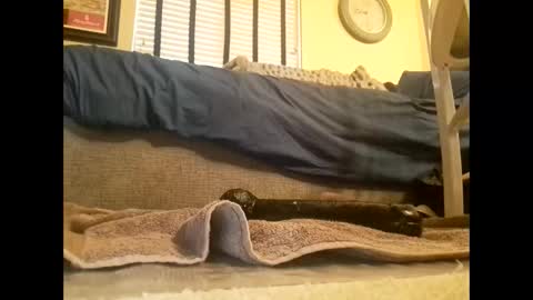 Snapshot of dildosnme22 chatting on March 10, 6:45 pm dildosnme22 online show from March 10, 6:45 pm