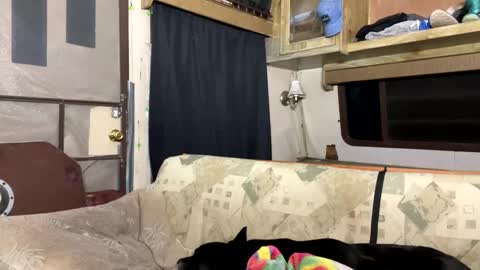 Daddy online show from May 28, 4:54 am