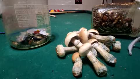 Snapshot of dilldont12 chatting on February 20, 10:05 am dilldont12 online show from February 20, 10:05 am