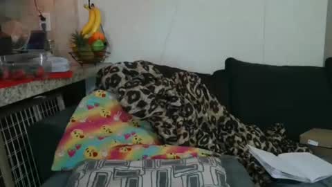 Sofie online show from November 25, 5:35 pm