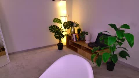 Dina online show from May 2, 5:56 am