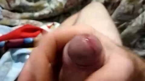 dingo_250 online show from September 19, 4:07 pm