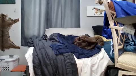 Snapshot of dinodick4uall chatting on February 9, 3:01 pm dinodick4uall online show from February 9, 3:01 pm