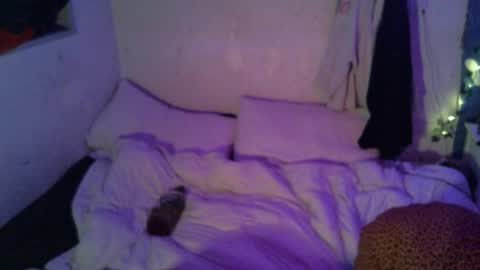 Snapshot of dipptripper chatting on April 16, 10:05 am Thomas OMalley online show from April 16, 10:05 am