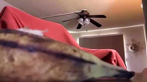 DIPSTIK online show from October 9, 6:17 pm