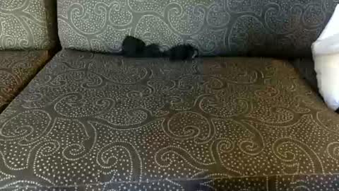 DirtyDanny online show from June 16, 1:30 am