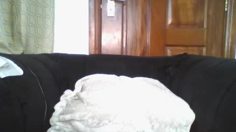 Snapshot of dixie_driver chatting on September 30, 9:09 pm dixie_driver online show from September 30, 9:09 pm