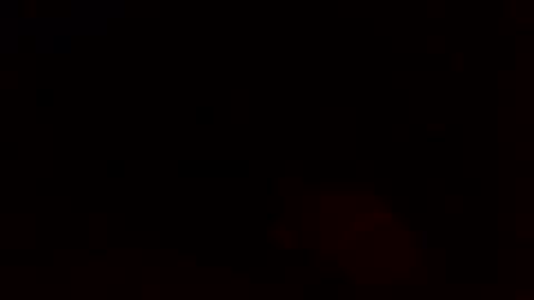 dixienormes online show from December 8, 11:14 am