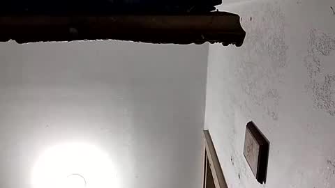 dixonbird41 online show from February 18, 3:54 pm