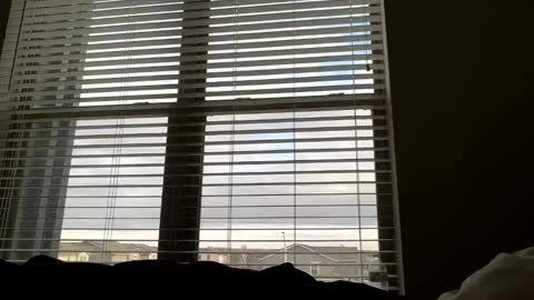 dj9469615 online show from March 22, 2:20 pm