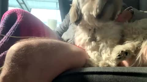 Snapshot of dkdad1966 chatting on December 15, 9:13 am DKdad online show from December 15, 9:13 am