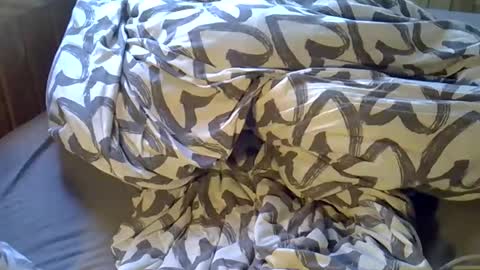 Snapshot of dkdad1966 chatting on April 6, 2:07 pm DKdad online show from April 6, 2:07 pm