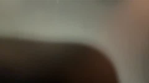 dm9313 online show from November 27, 11:01 am