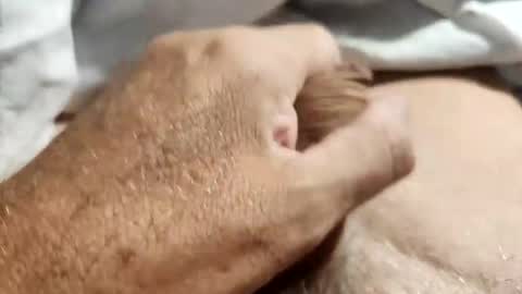 dockydick online show from October 14, 12:00 am