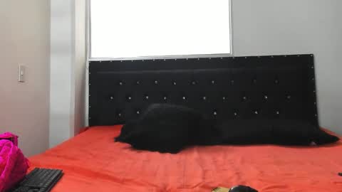 C E L E S T E  online show from October 8, 7:11 pm