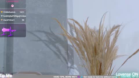 dolly_brownc online show from February 8, 10:35 pm