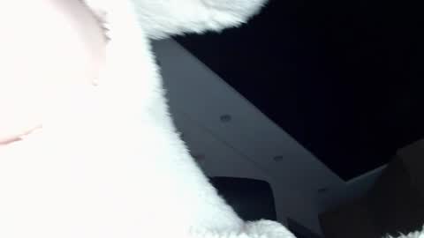 Snapshot of dolly_sun chatting on December 20, 11:54 am ILONA online show from December 20, 11:54 am