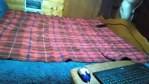 Snapshot of dolomois chatting on February 12, 1:06 pm dolomois online show from February 12, 1:06 pm