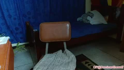 Snapshot of dominantthewolf chatting on May 11, 5:46 am Logan - INDEPENDET MODEL online show from May 11, 5:46 am