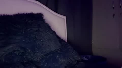 Snapshot of dominic_brand chatting on December 14, 2:39 am Brandon online show from December 14, 2:39 am