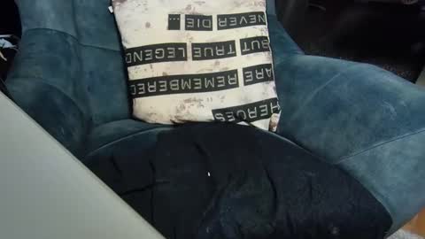 Snapshot of dondiego9999 chatting on January 6, 8:07 pm dondiego9999 online show from January 6, 8:07 pm