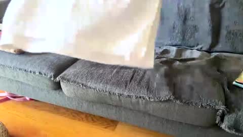 Alfredo online show from September 19, 11:00 am