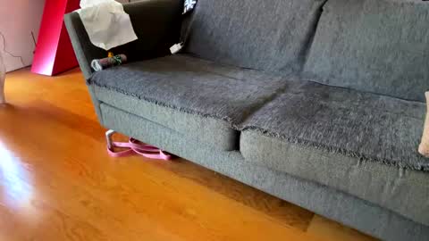 Alfredo online show from September 24, 8:39 am