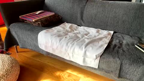 Alfredo online show from December 4, 10:13 am