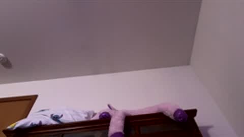 Snapshot of doodlez224472 chatting on December 2, 12:54 pm doodlez224472 online show from December 2, 12:54 pm