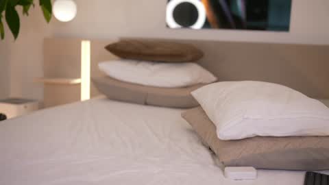    .         . online show from December 5, 8:01 am