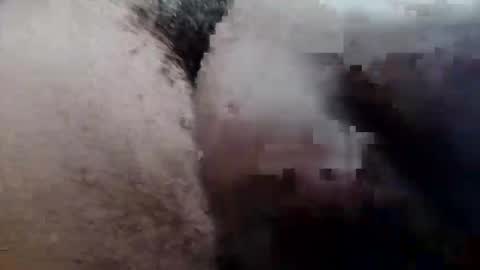 MrPirated online show from September 29, 3:28 pm