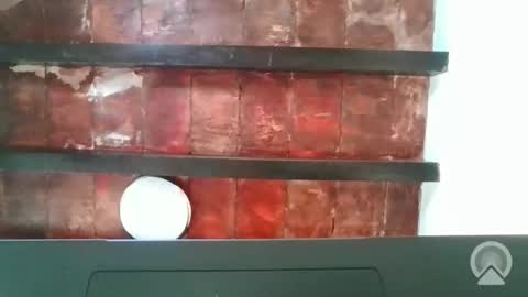 Snapshot of dread1990 chatting on December 4, 4:05 pm new profile Aircum99 online show from December 4, 4:05 pm