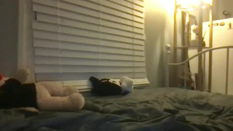 Snapshot of dream1girl_ chatting on January 12, 6:49 am ur dream girl online show from January 12, 6:49 am