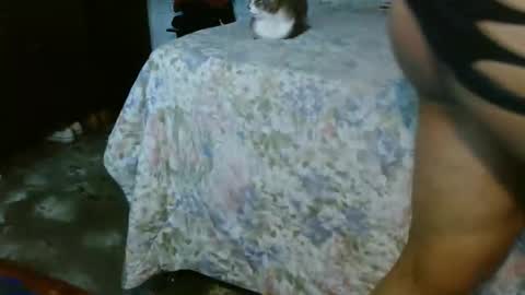 Snapshot of dream_real chatting on October 31, 2:07 pm dreamreal online show from October 31, 2:07 pm